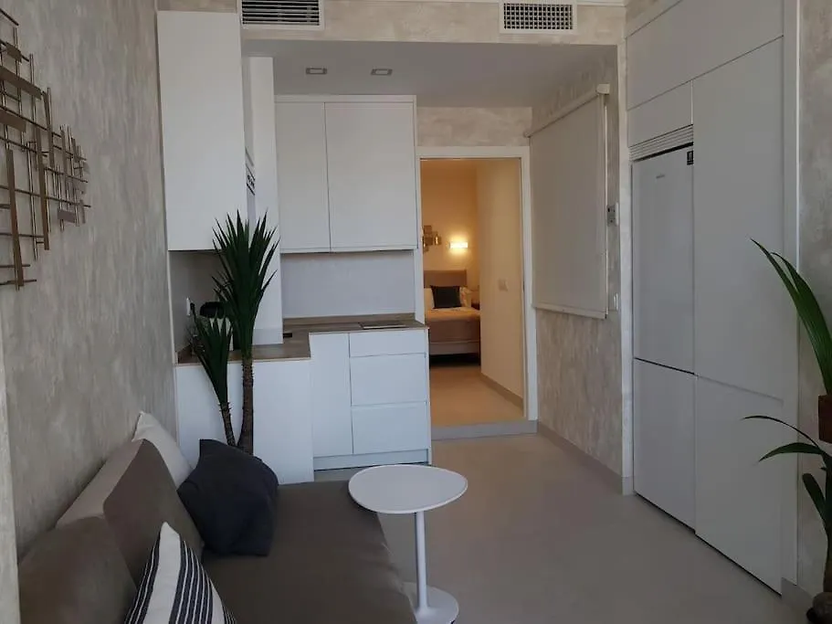Atico C/ Adriano_Catedral. Apartment Seville